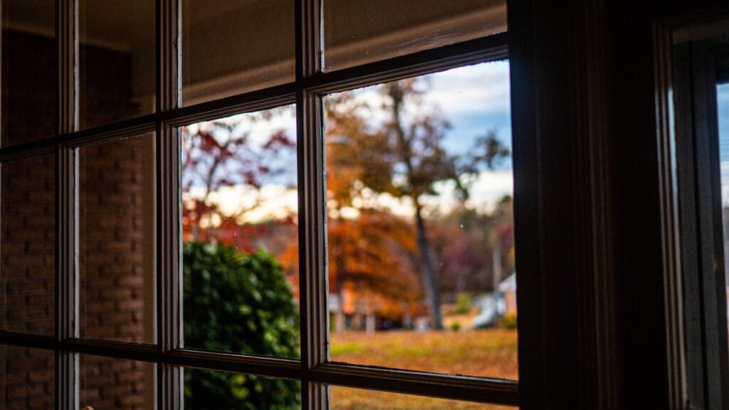 Transparent glass window inside the home with a view of autumn trees and plants